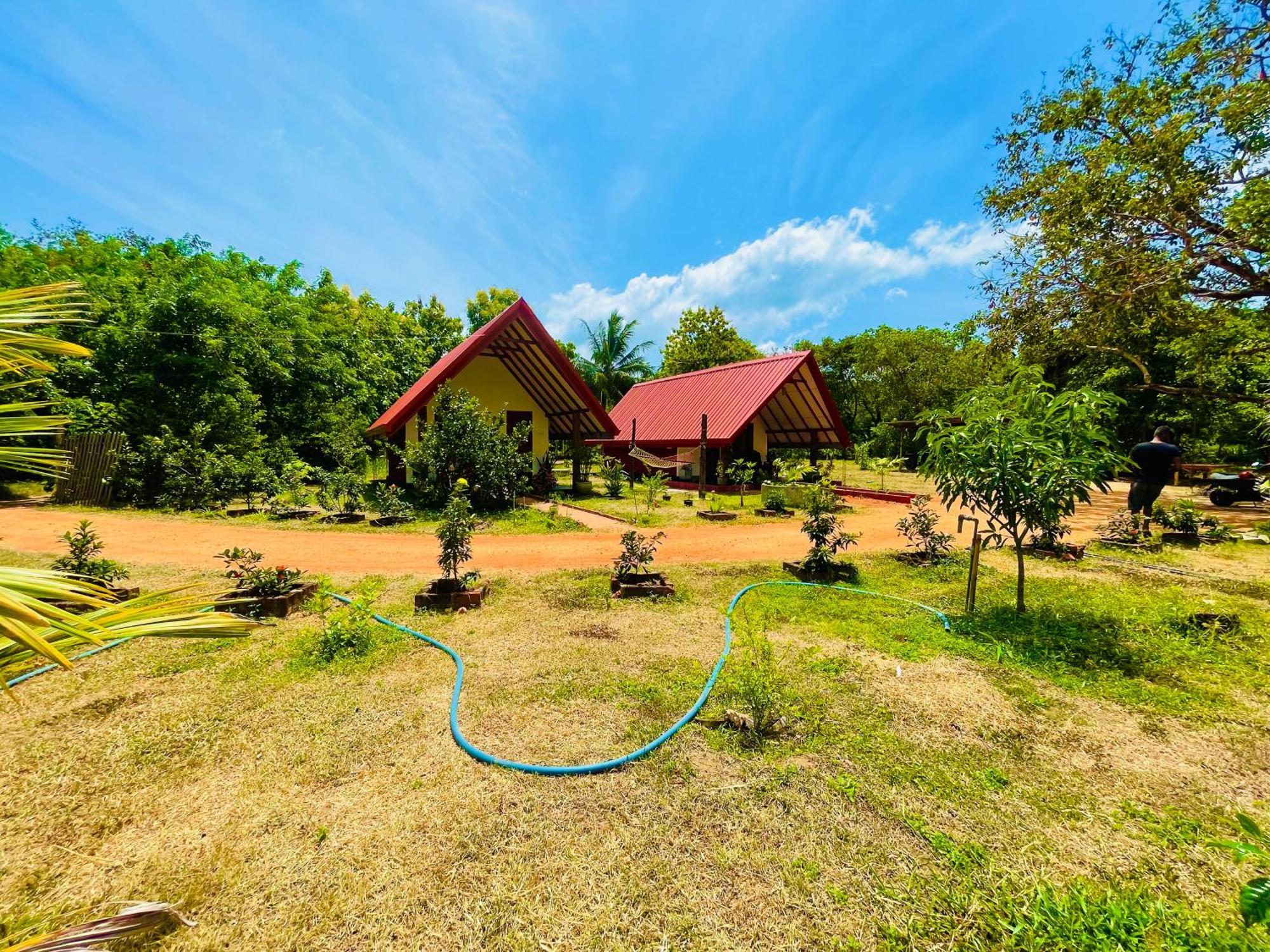 Sigiri Enaya Cottage Sigiriya Exteriör bild